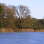 Neujahrstreff SCW 2026 (4) Internet