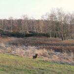 Neujahrstreff SCW 2026 (5) Internet